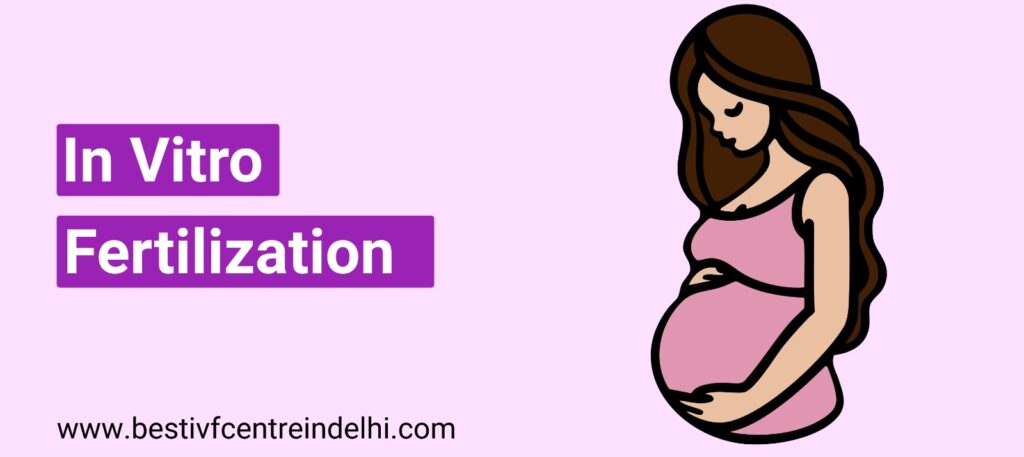 In Vitro Fertilization